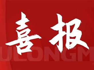 福龍馬集團總裁張西泠榮獲“福建省非公有制經濟優秀建設者”稱號